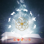 12 zodiac animals chinese astrology with book of learning image